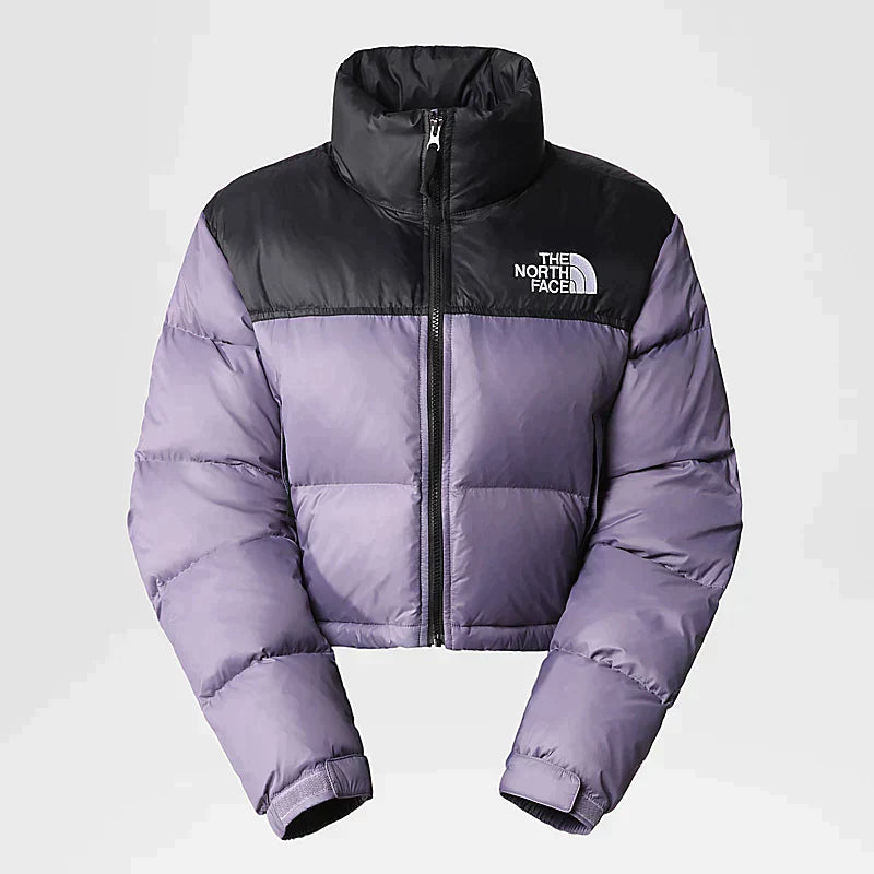 Lunar Slate Retro Nuptse 700